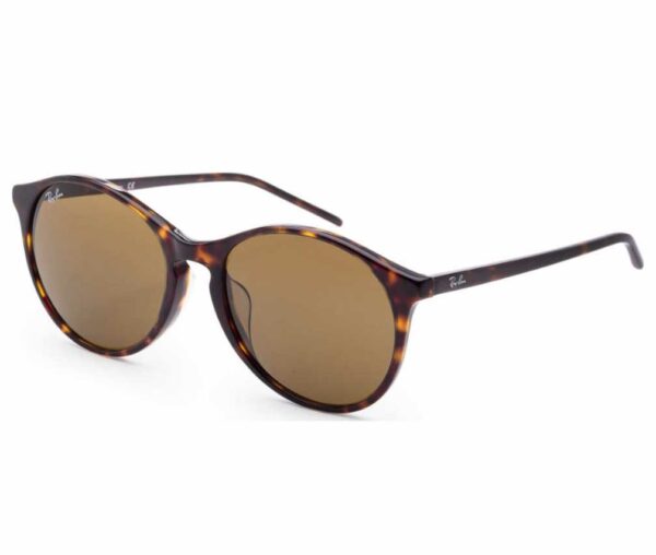 Ray Bans Sunglasses – 0RB4387F 902/7355