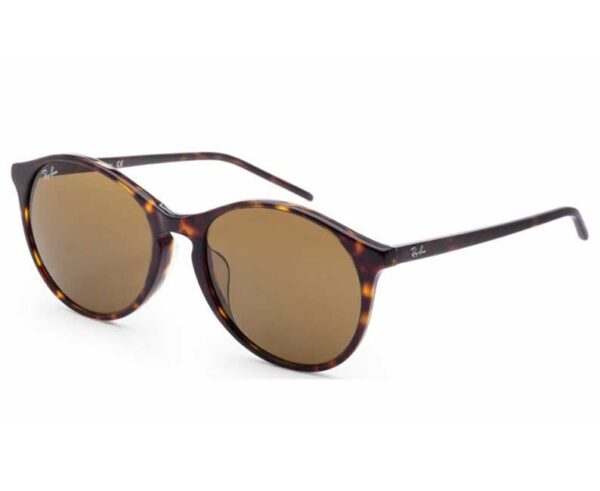 Ray Bans Sunglasses – 0RB4387F 902/7355